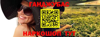 тгк Новодвинск