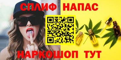 тгк Новодвинск