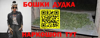 тгк Новодвинск