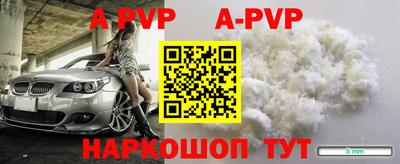 тгк Новодвинск
