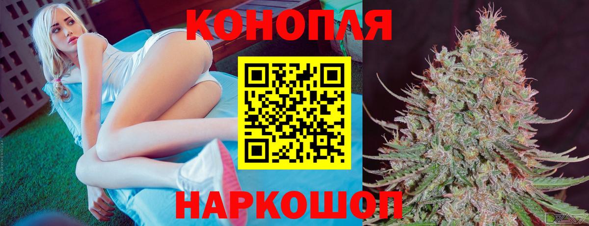 Каннабис ГИДРОПОН  Вход с VPN  Бошки Шишки планчик  Тулун  Шишки марихуана сатива 